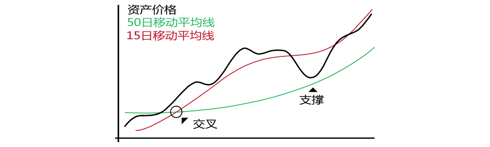 momentum_zh